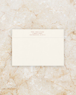 Halcyon Envelope